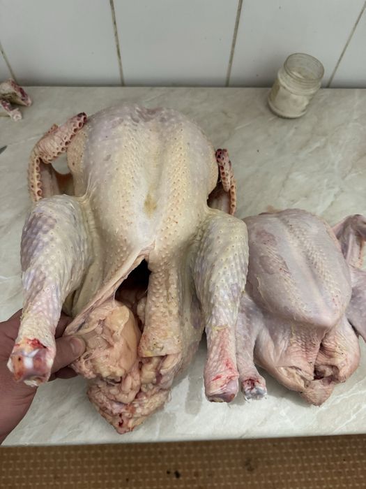 Домашний бройлер