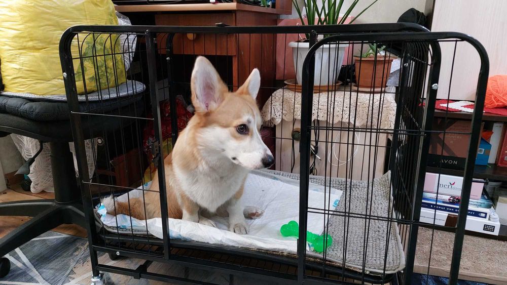 Клетка для собак