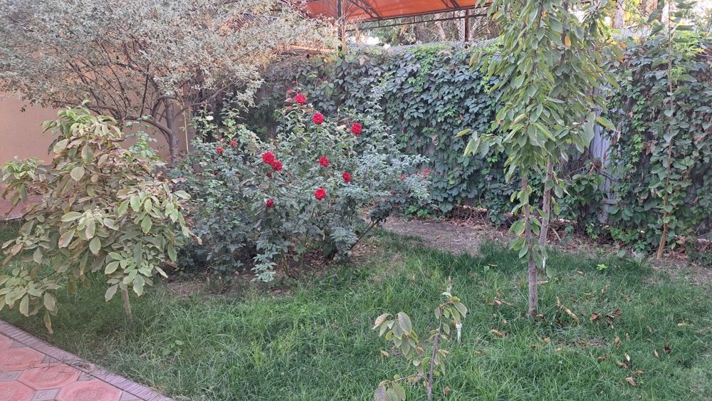 Сдаётся коттедж в аренда