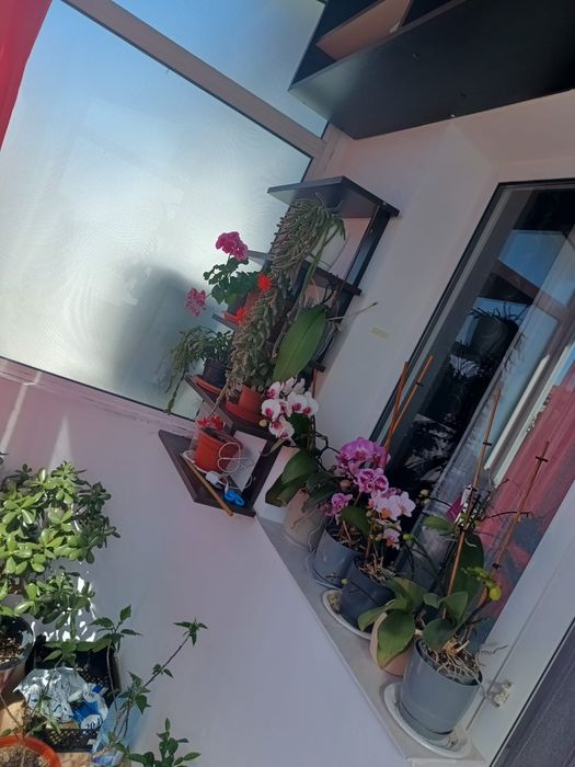 Apartament cu 3 camere mobilat utilat !!!