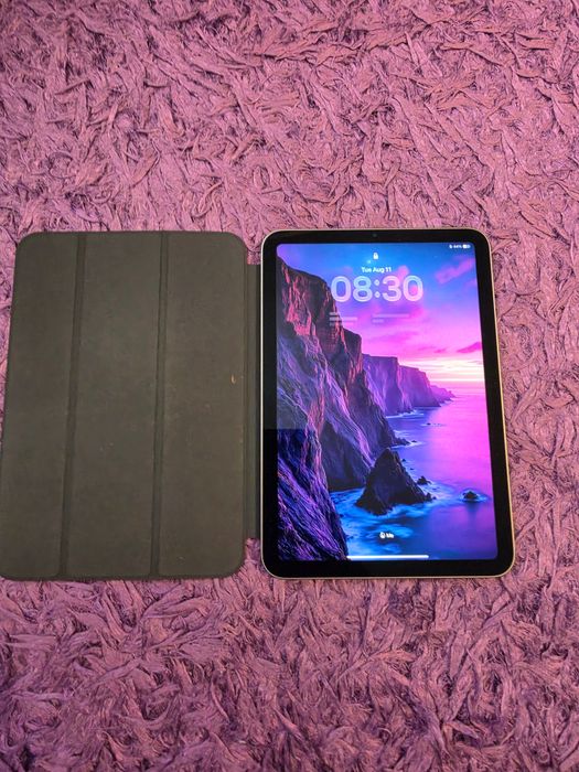 iPad mini A17 Pro, WiFi, 256Gb
