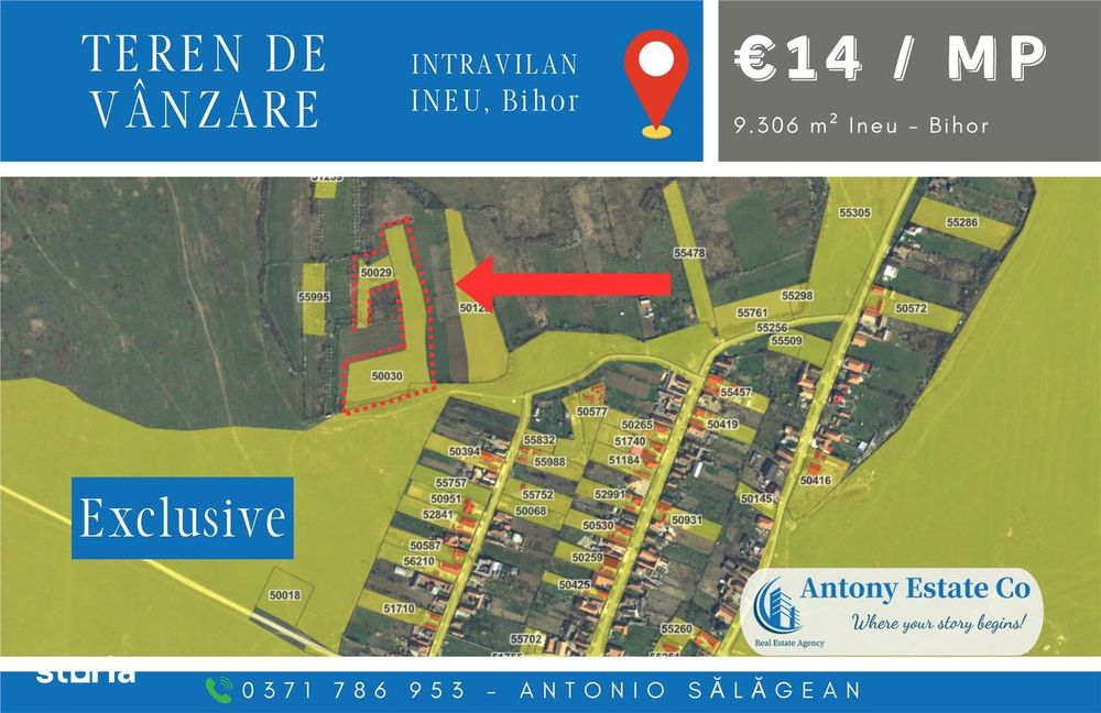 Antony Estate | Vanzare Intravilan 11eurmp - Ineu, Bihor