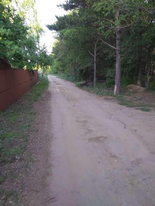 Дачный участок с домом, Сосновый бор