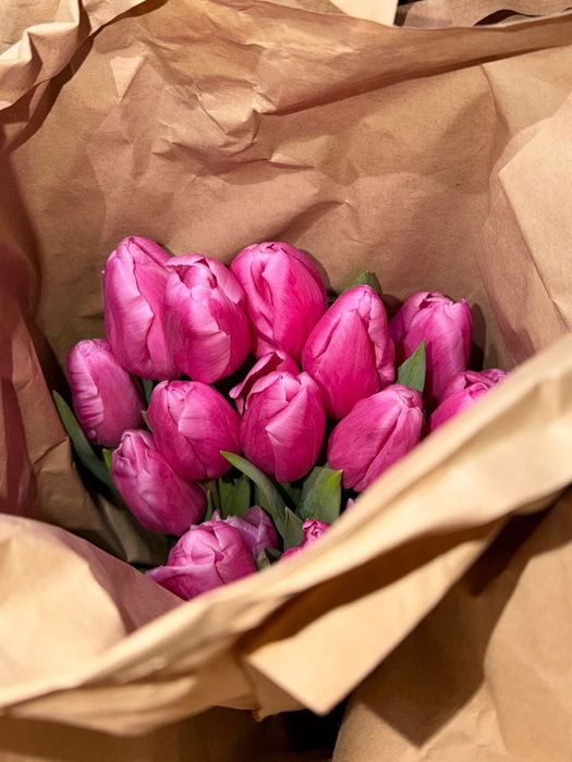 Тюльпаны свежие большие с доставкой