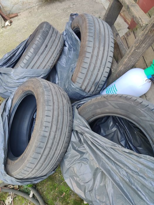 Nokian Vara PowerProof 225 55 ZR17 101Y