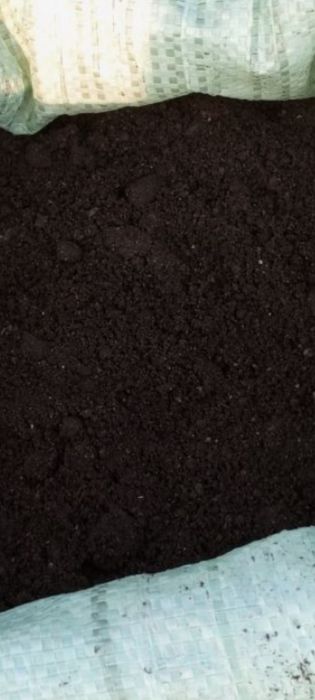 Газон уруглари Оптом Оригинал ассортимент