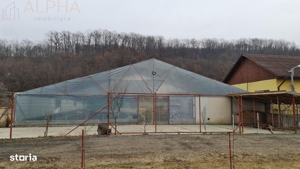 Afacere La Cheie – Hala Productie + Sera Profesionala