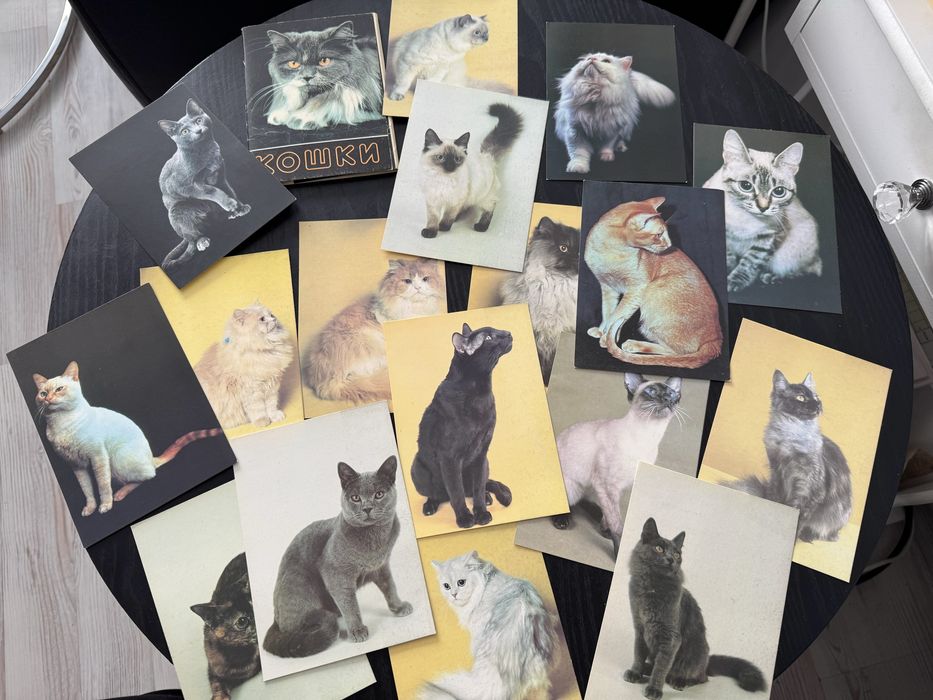 Кинология - книги и списания за кучето и котката