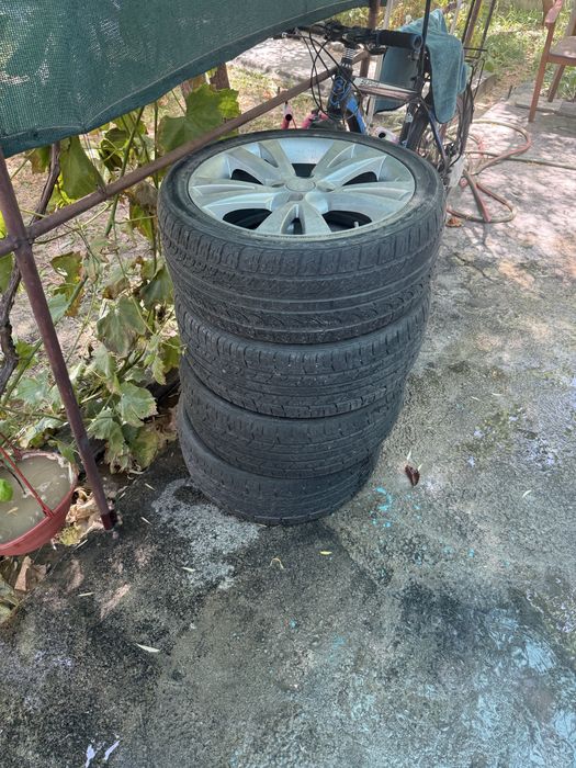 Kaptiva diska R 17