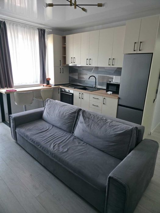 Apartament cu 2 camere open space mobilat si utilat in Bucium-Visani, Persoana fizica, loc de parcare, 45 mp, etaj 3/5