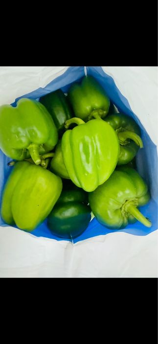 Продам виноград домашний Изабелла