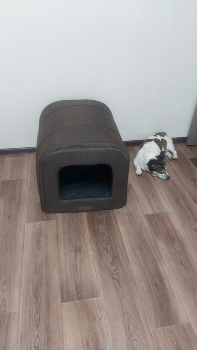 Домик туннель для собак