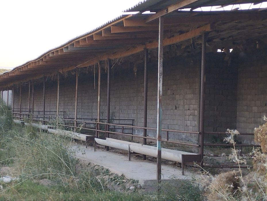 Ferma tovuq boqishga muljalangan