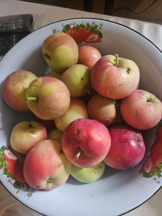 Продаю домашние яблоки