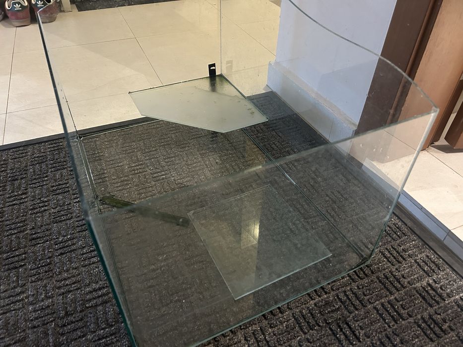 Подарявам терариум за костенурка