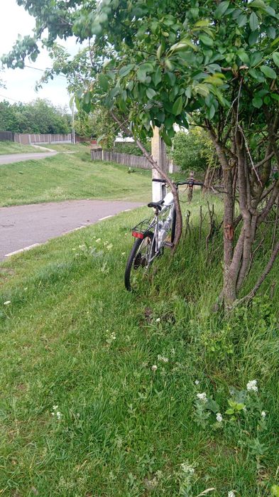 Motor bicicleta 80cc