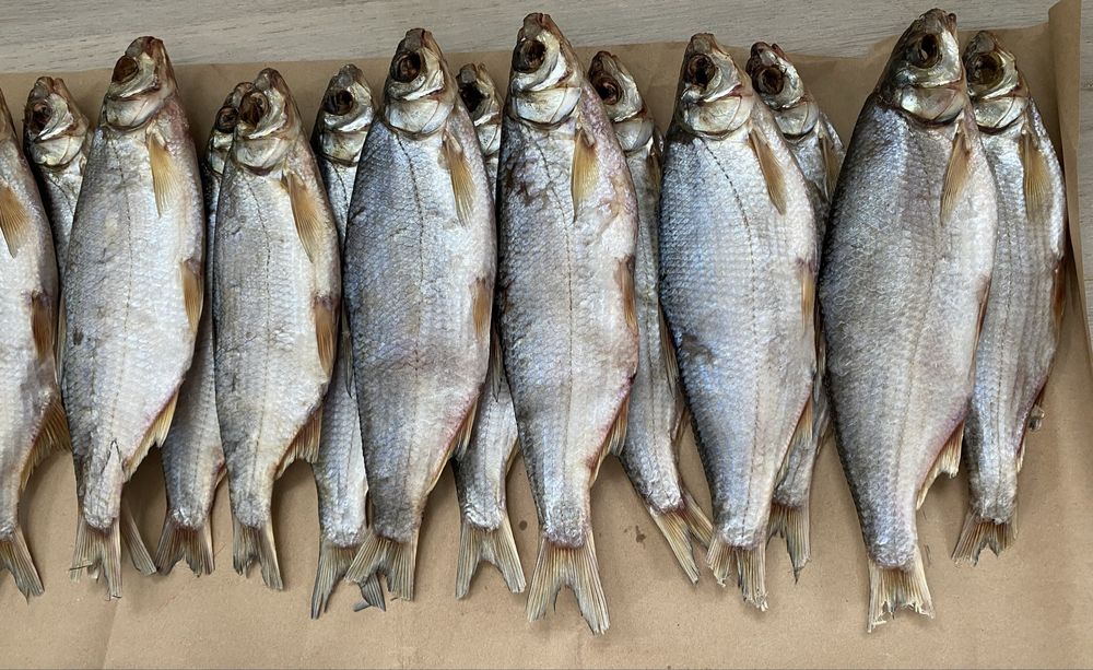 Вяленый рыбец свежий