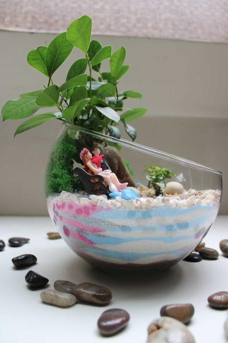 Флорариум с бонсай - подарък за рожден ден и др поводи