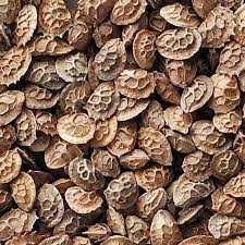 Семена: Пшеница Житняк Эспарцет Донник Кострец Люцерна Суданка Фацелия