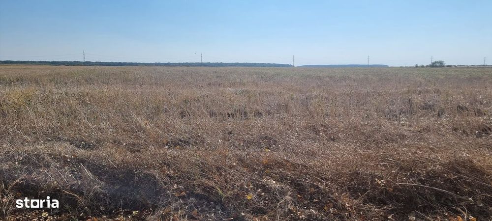 Oportunitate de investitie | Teren intravilan de vanzare | 10.000 mp