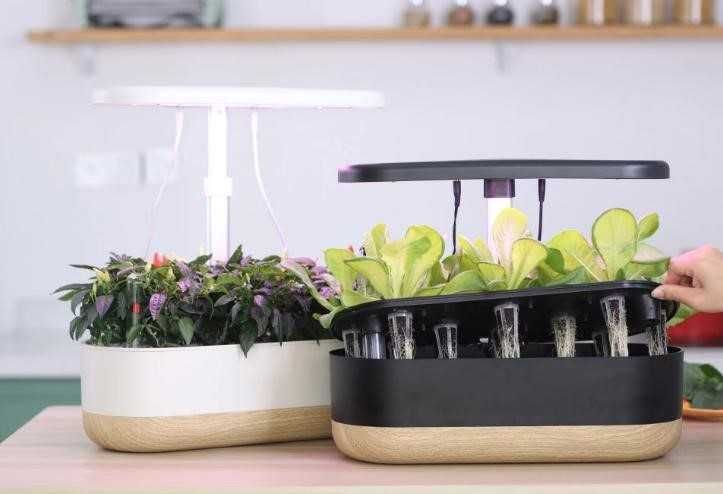 Мини гидропонная ферма