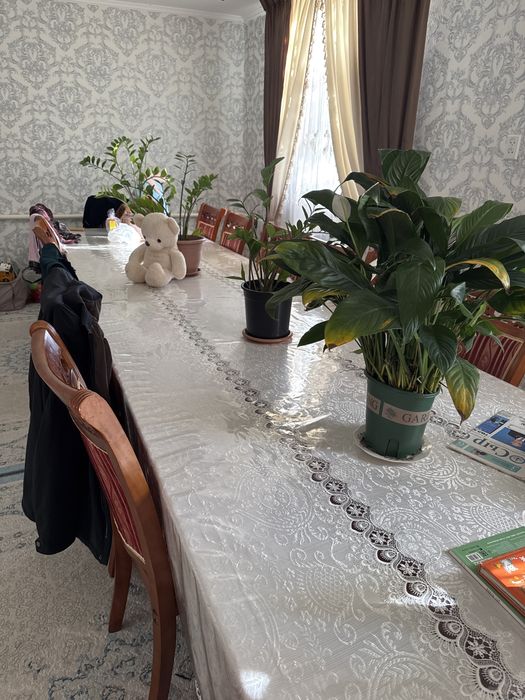 Стол и стулья сатылады