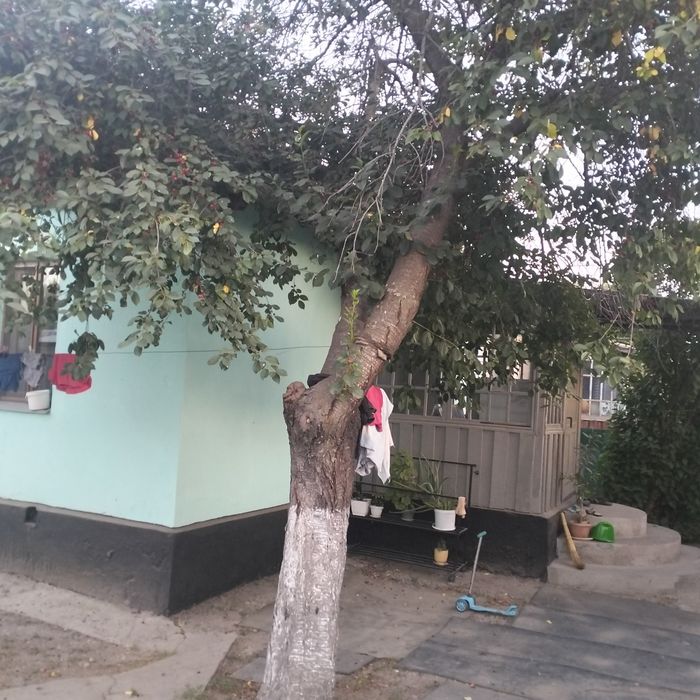 Продам Дом кирпичный