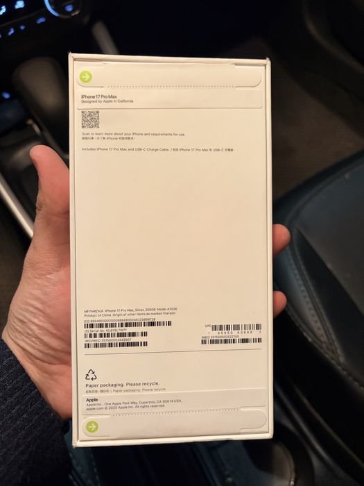 17 pro max silver