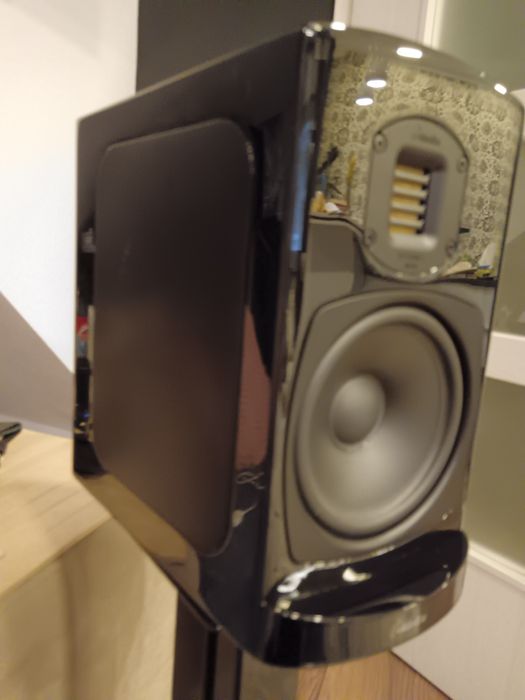 Boxe raft GOLDENEAR BRX (Bookshelf Reference X), 40Hz-35kHz, eficienta