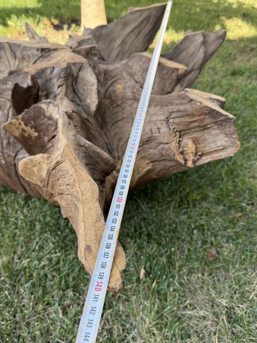 Radacina stejar pt măsuță cafea