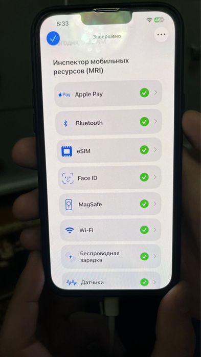 13 про макс 256гб