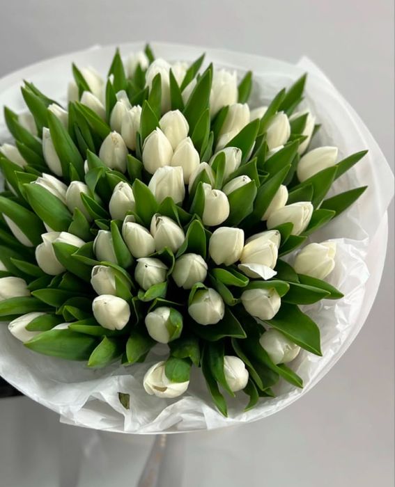 Пионы, Тюльпаны, Розы, большой выбор