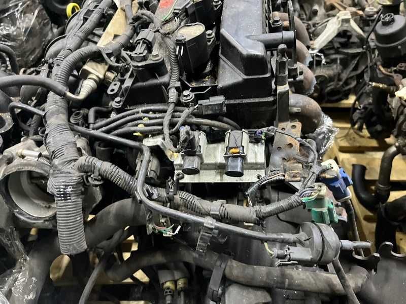 Двигатель Ford Focus AODA