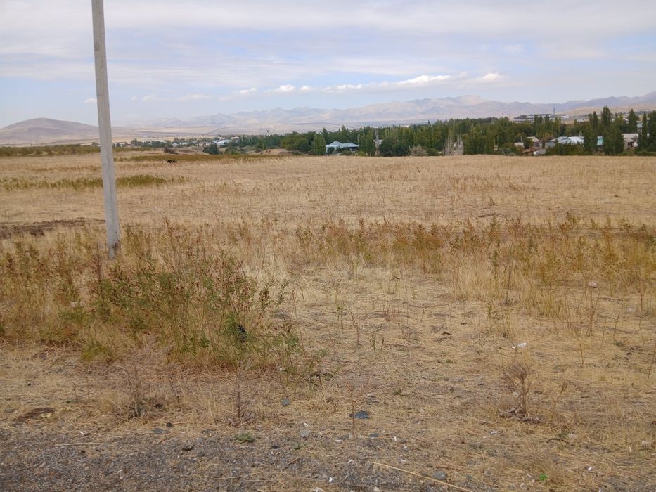 Земля под бизнес