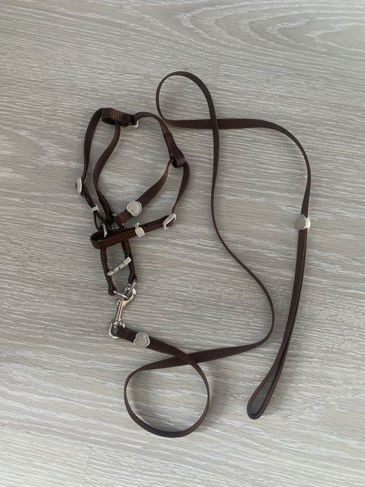 Продаю шлейку-поводок для кошек