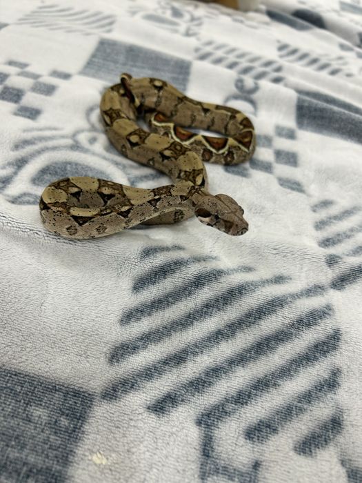 Продажа или обмен