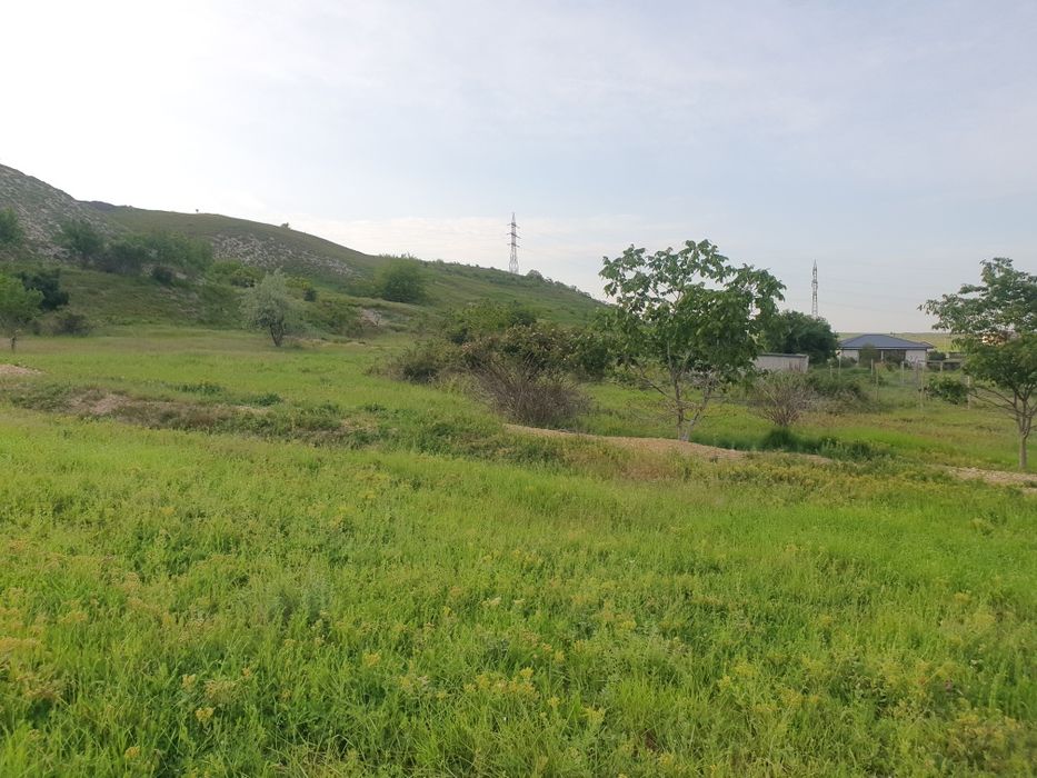 Loturi teren intravilan Valu lui Traian 449mp!