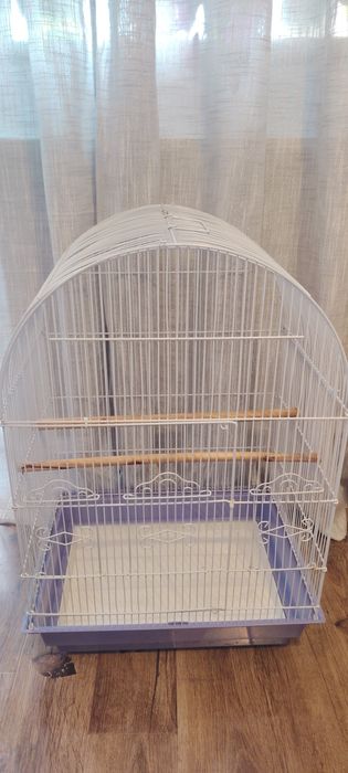 Colivie mare papagali.