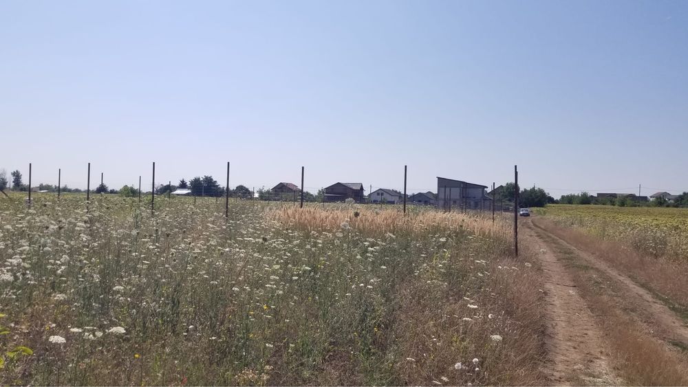 Teren intravilan in Ciorogârla/Darvari Acte la Zi