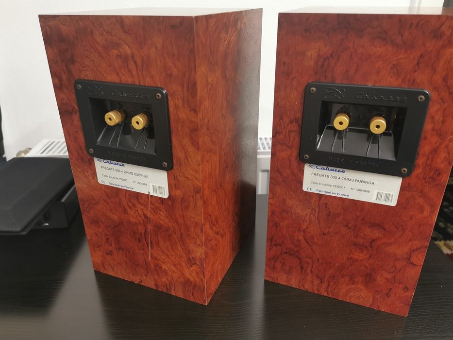 Boxe Cabasse Fregate 300