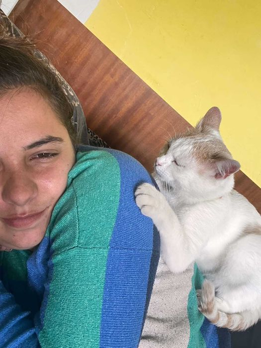 КОТАК търси любящ дом