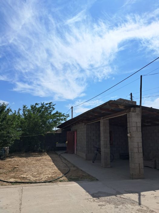 Шубарсуда уй сатылады