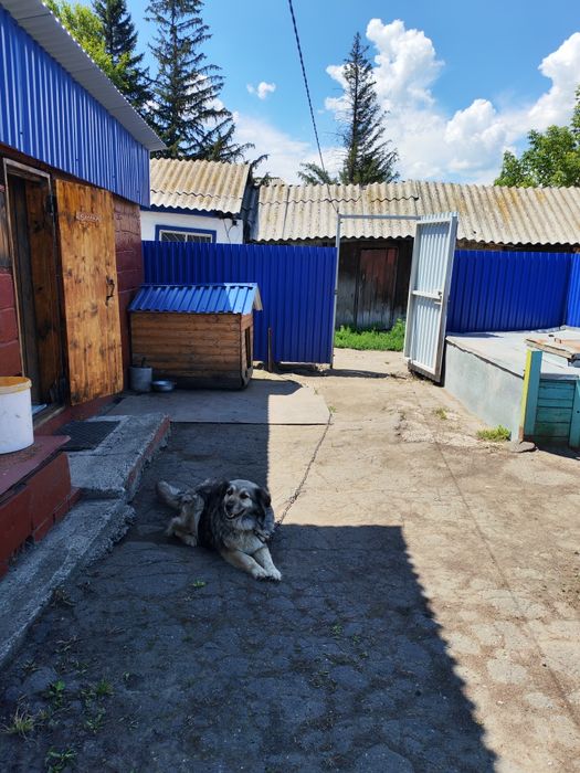 Продам дом в Старой Согре.