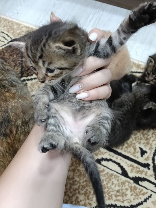 Нечего не надо .