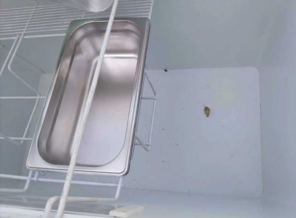 МорозилЬник UGUR 400 для шарикового мороженого