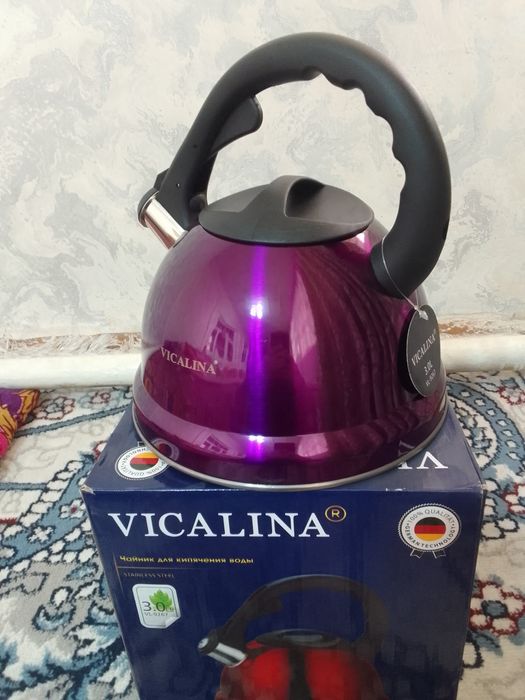 Чайник свистокли.