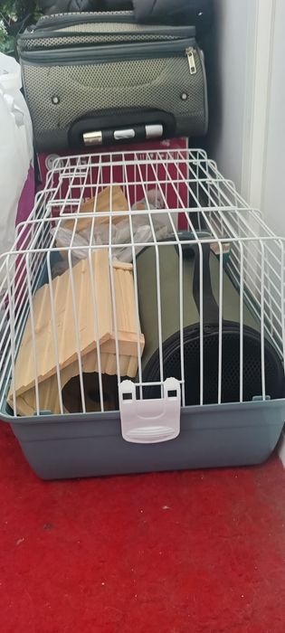 Клетка для морской свинки и прлчее