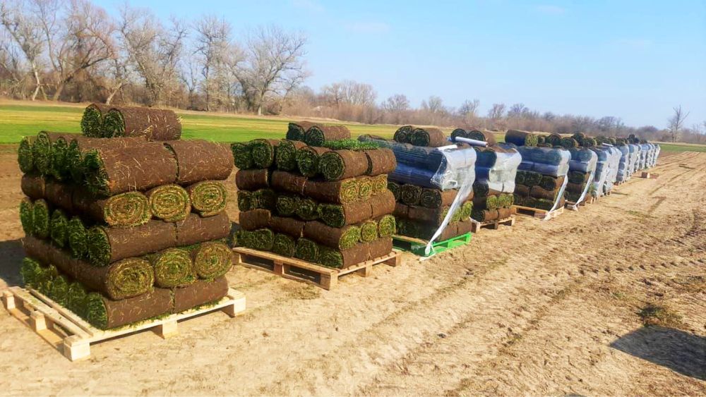 Оптом готовые газоны | таййор табий Газон