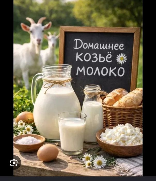 козье молоко  ешкі сүті