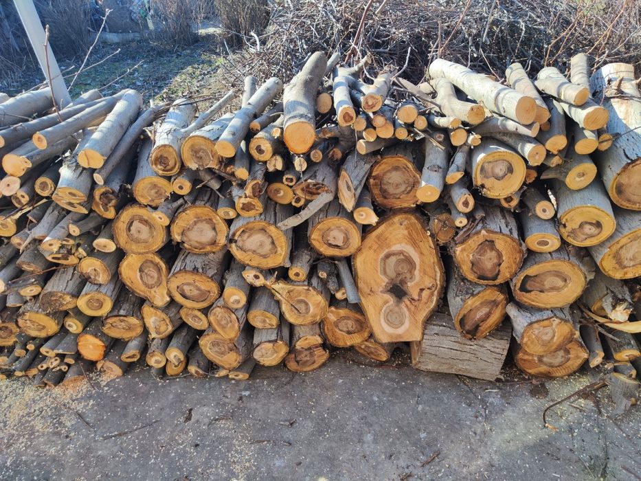 Дрова орешина много